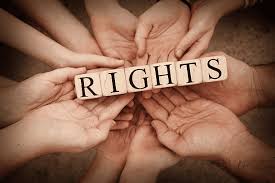 Advocating for Justice The Role of a Human Rights Law Firm 1347450270