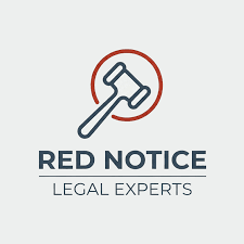 Understanding Interpol Cases The Role of Lawyers 1332985363