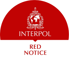 Understanding Interpol Law Firm Your Guide to Global Criminal Defense