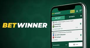 BetWinner Online Bookmaker Your Ultimate Betting Destination